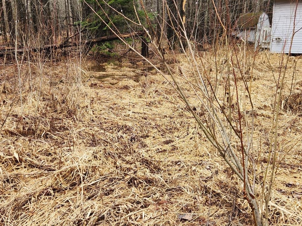 W10582 CARPENTER ROAD, Tripoli, Wisconsin 54564, ,Land,For Sale,W10582 CARPENTER ROAD,22601527