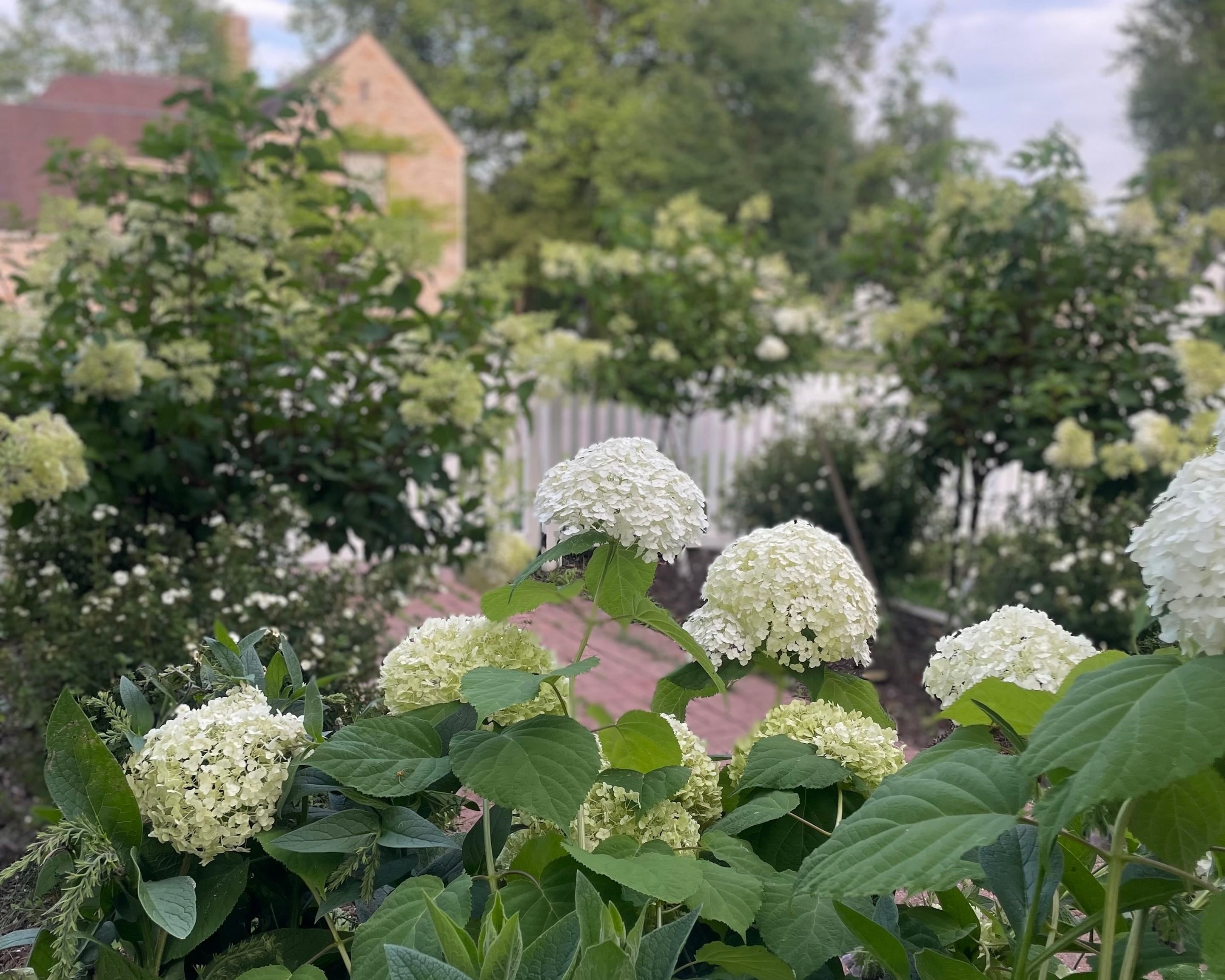 512 HARDACRE AVENUE, Marshfield, Wisconsin 54449, 4 Bedrooms Bedrooms, ,2 BathroomsBathrooms,Residential,For Sale,512 HARDACRE AVENUE,22601528