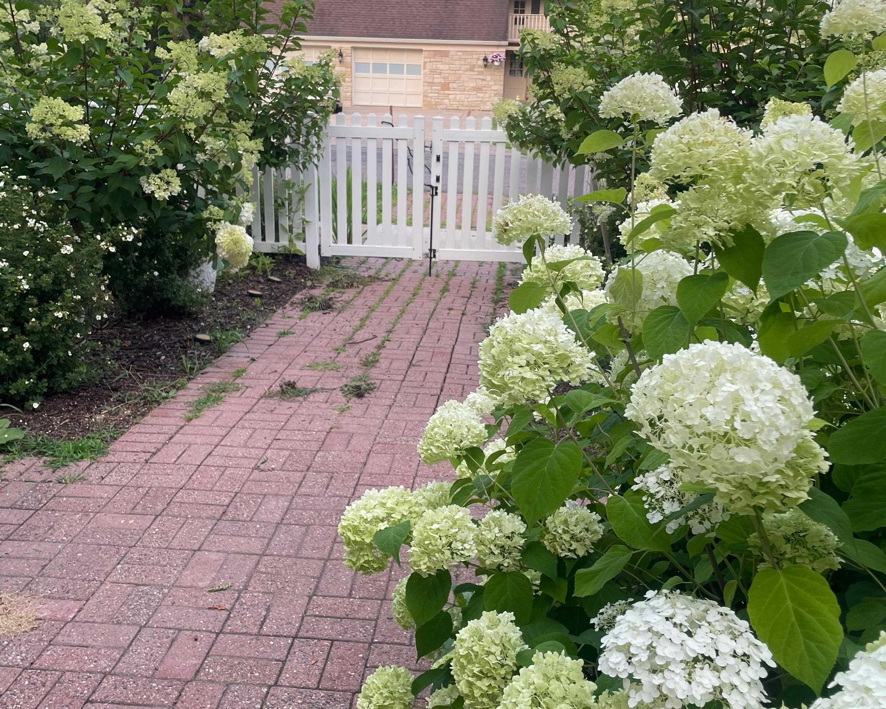 512 HARDACRE AVENUE, Marshfield, Wisconsin 54449, 4 Bedrooms Bedrooms, ,2 BathroomsBathrooms,Residential,For Sale,512 HARDACRE AVENUE,22601528