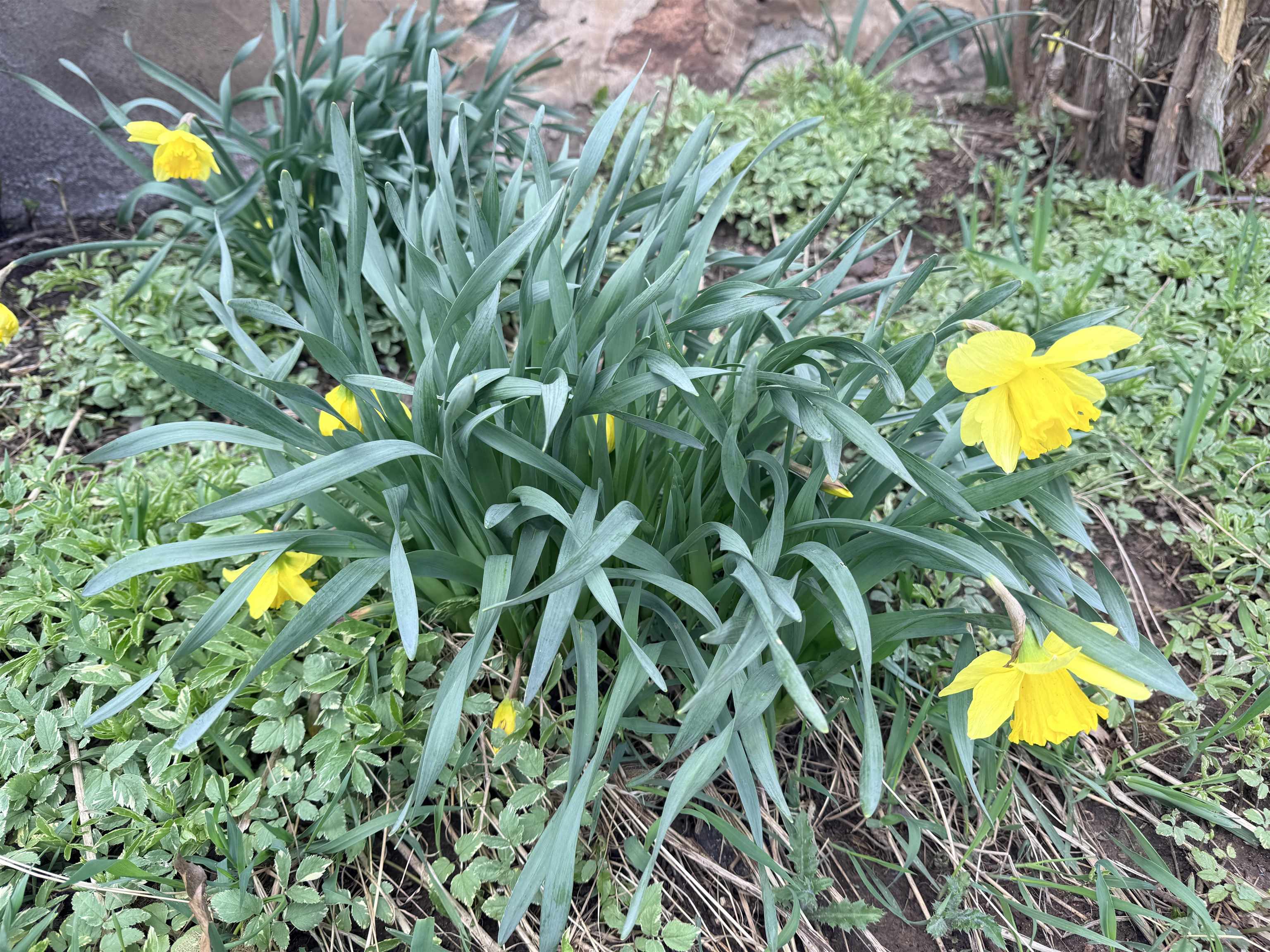 159810 LITTLE CAIN ROAD, Wausau, Wisconsin 54403, 3 Bedrooms Bedrooms, ,1 BathroomBathrooms,Residential,For Sale,159810 LITTLE CAIN ROAD,22601538