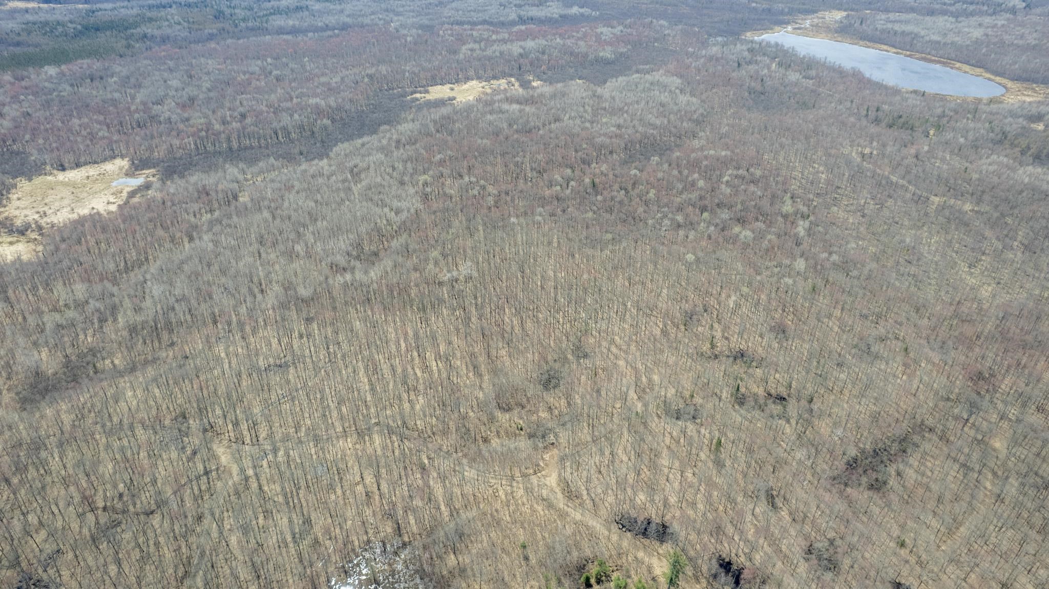 N4587 LUSTILA RD, Brantwood, Wisconsin 54513, 2 Bedrooms Bedrooms, ,1 BathroomBathrooms,Residential,For Sale,N4587 LUSTILA RD,22601546