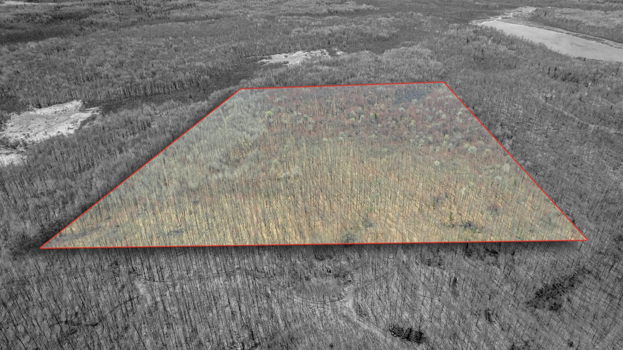 N4587 LUSTILA RD, Brantwood, Wisconsin 54513, 2 Bedrooms Bedrooms, ,1 BathroomBathrooms,Residential,For Sale,N4587 LUSTILA RD,22601546