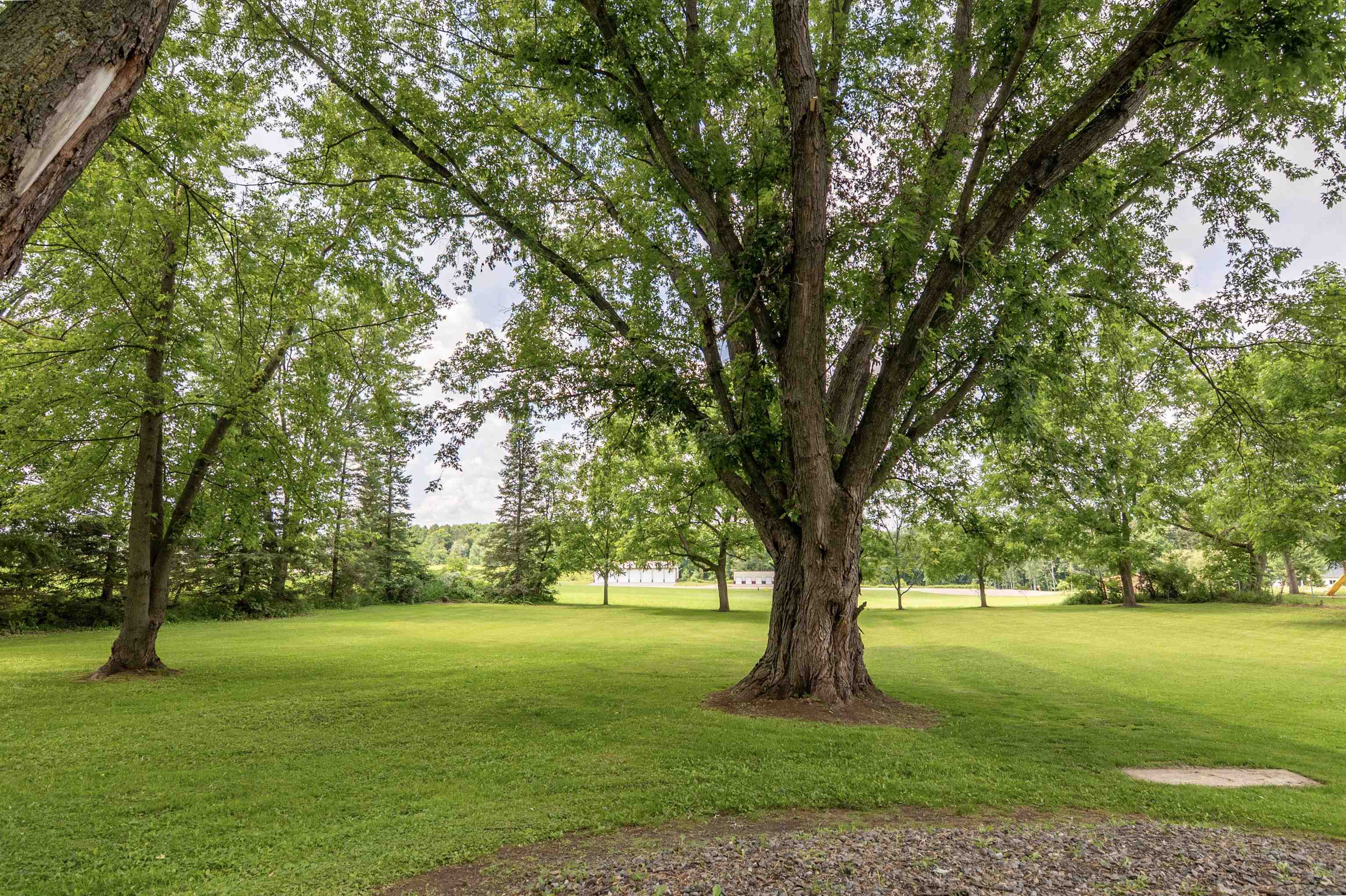237490 ALLEN STREET, Athens, Wisconsin 54411, 2 Bedrooms Bedrooms, ,1 BathroomBathrooms,Residential,For Sale,237490 ALLEN STREET,22601553