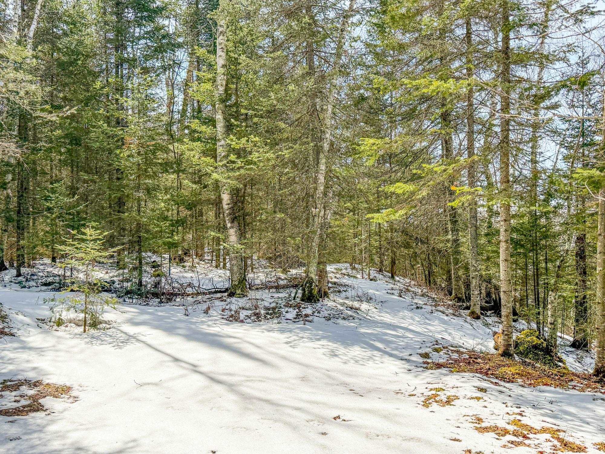 W3472 ISLAND POINT ROAD, Park Falls, Wisconsin 54552, 2 Bedrooms Bedrooms, ,1 BathroomBathrooms,Residential,For Sale,W3472 ISLAND POINT ROAD,22601557