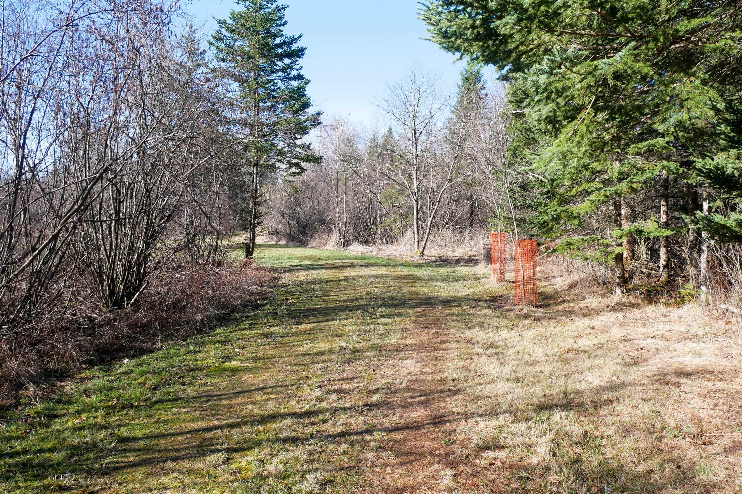 +/-41.85 Acres COUNTY ROAD M, Rib Lake, Wisconsin 54470, ,Land,For Sale,+/-41.85 Acres COUNTY ROAD M,22601561