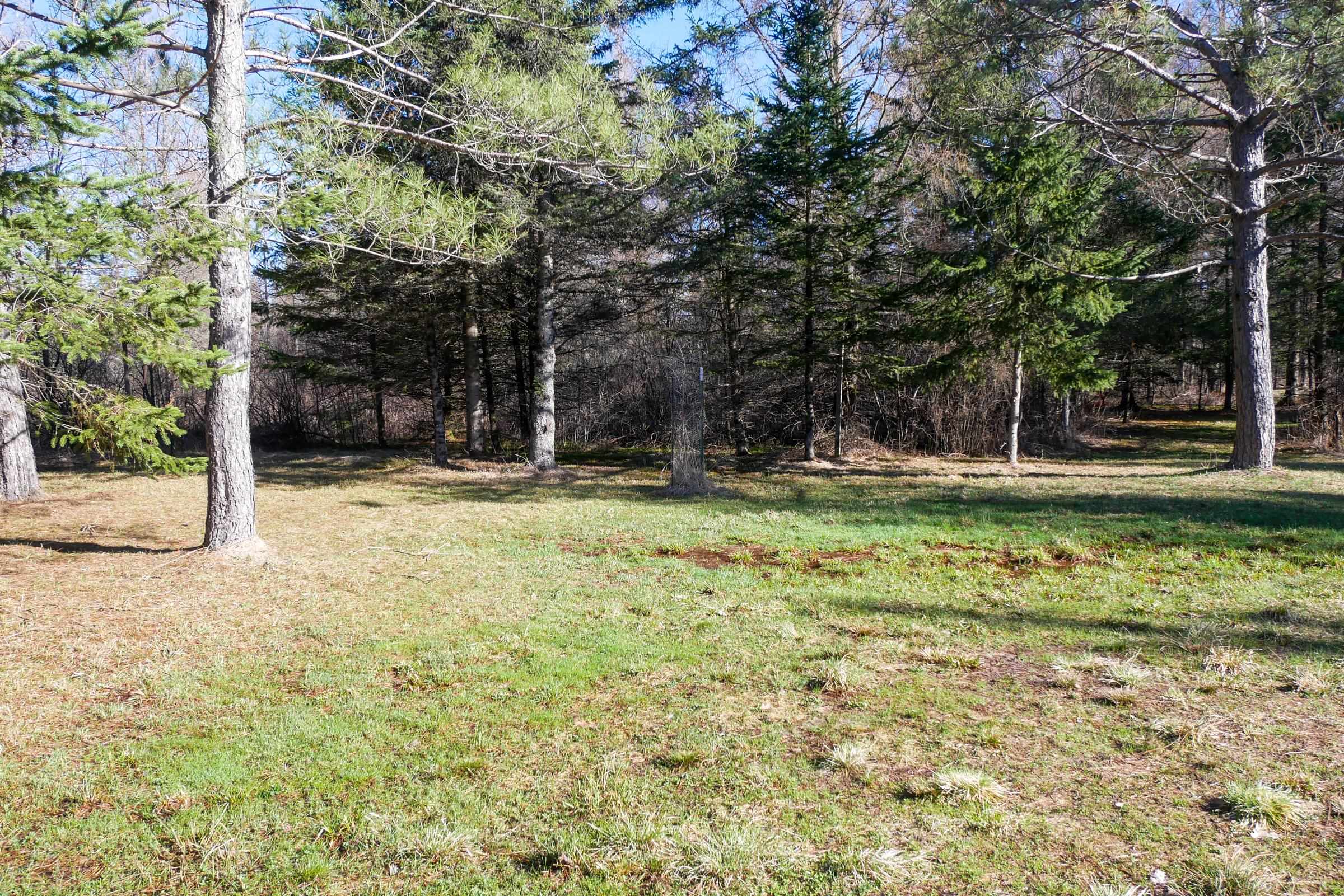 +/-41.85 Acres COUNTY ROAD M, Rib Lake, Wisconsin 54470, ,Land,For Sale,+/-41.85 Acres COUNTY ROAD M,22601561