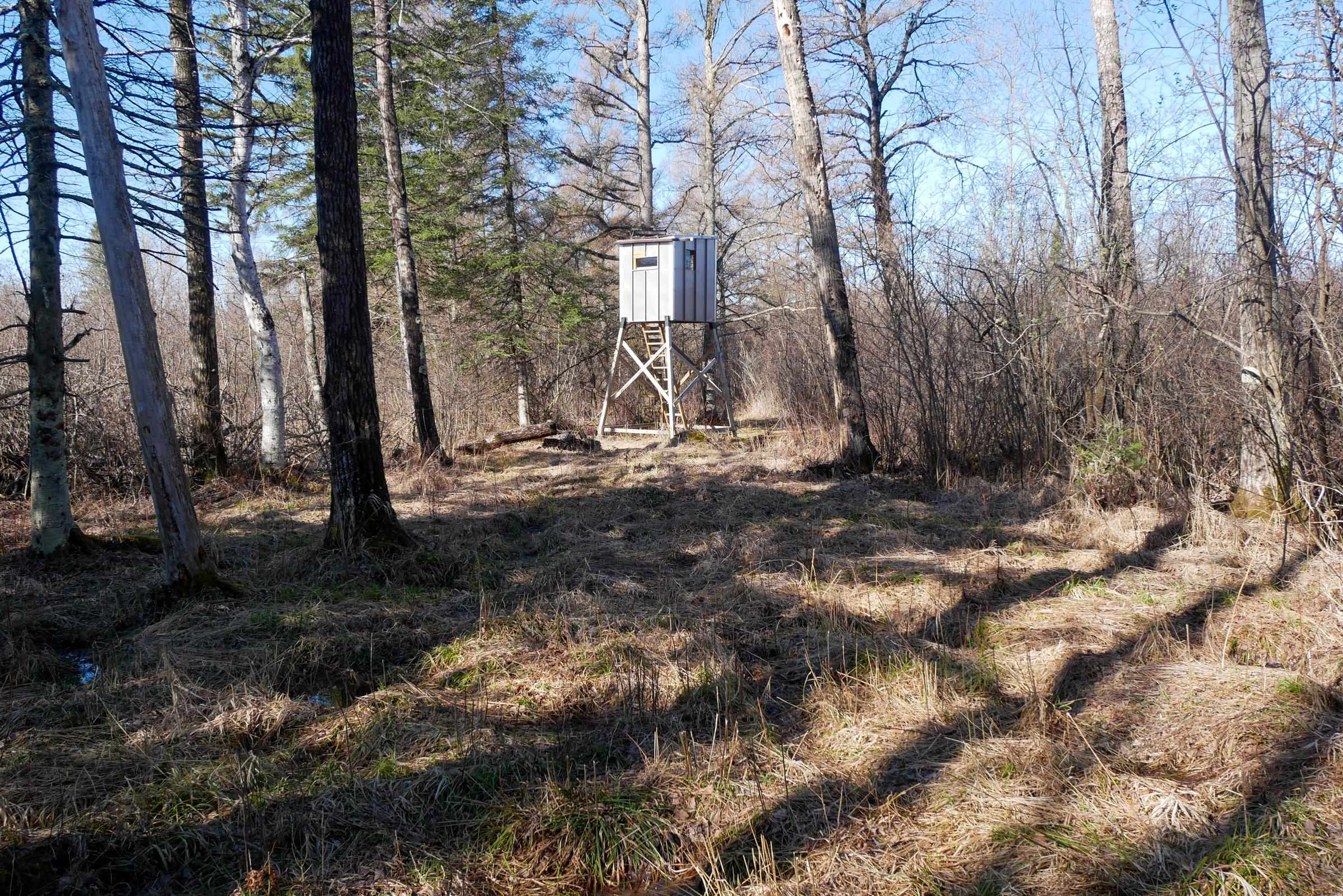 +/-41.85 Acres COUNTY ROAD M, Rib Lake, Wisconsin 54470, ,Land,For Sale,+/-41.85 Acres COUNTY ROAD M,22601561
