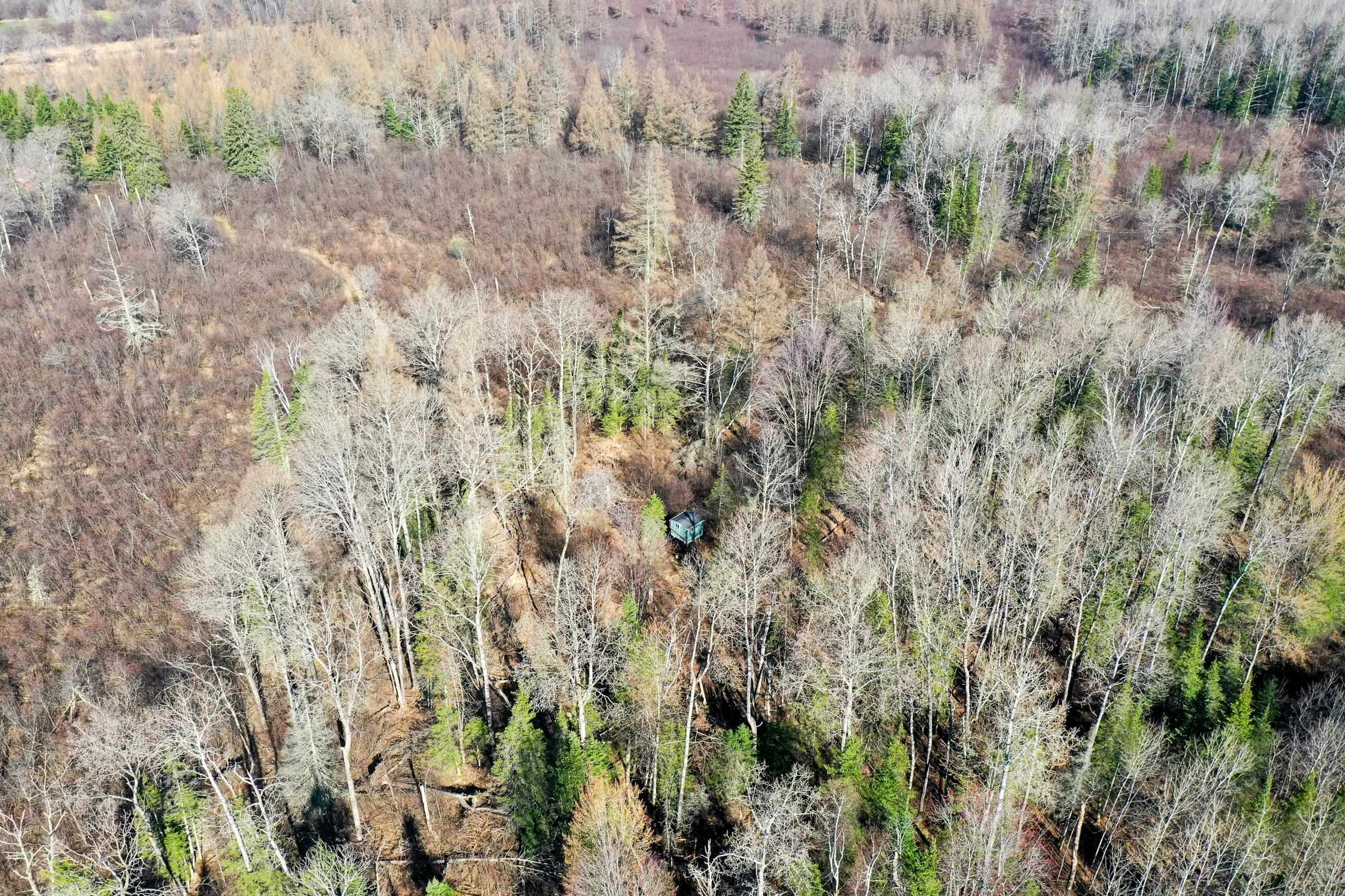 +/-41.85 Acres COUNTY ROAD M, Rib Lake, Wisconsin 54470, ,Land,For Sale,+/-41.85 Acres COUNTY ROAD M,22601561