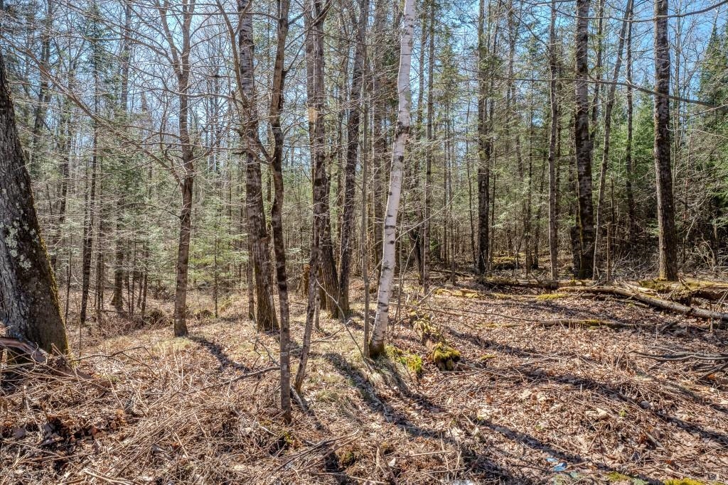 N10688 TOMPTABO ROAD, Gleason, Wisconsin 54435, 3 Bedrooms Bedrooms, ,2 BathroomsBathrooms,Residential,For Sale,N10688 TOMPTABO ROAD,22601568