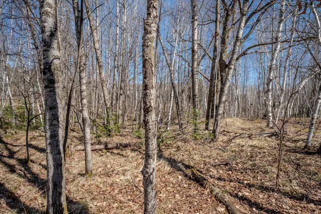 N10688 TOMPTABO ROAD, Gleason, Wisconsin 54435, 3 Bedrooms Bedrooms, ,2 BathroomsBathrooms,Residential,For Sale,N10688 TOMPTABO ROAD,22601568