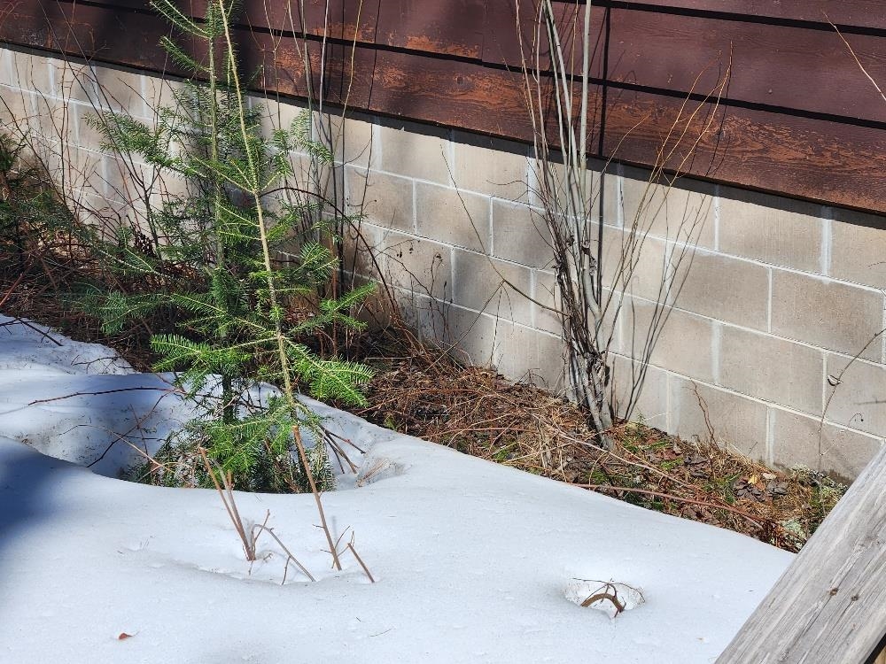 7972 CHAIN LAKE ROAD, Eagle River, Wisconsin 54521, ,Land,For Sale,7972 CHAIN LAKE ROAD,22601579