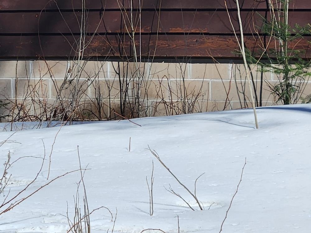 7972 CHAIN LAKE ROAD, Eagle River, Wisconsin 54521, ,Land,For Sale,7972 CHAIN LAKE ROAD,22601579