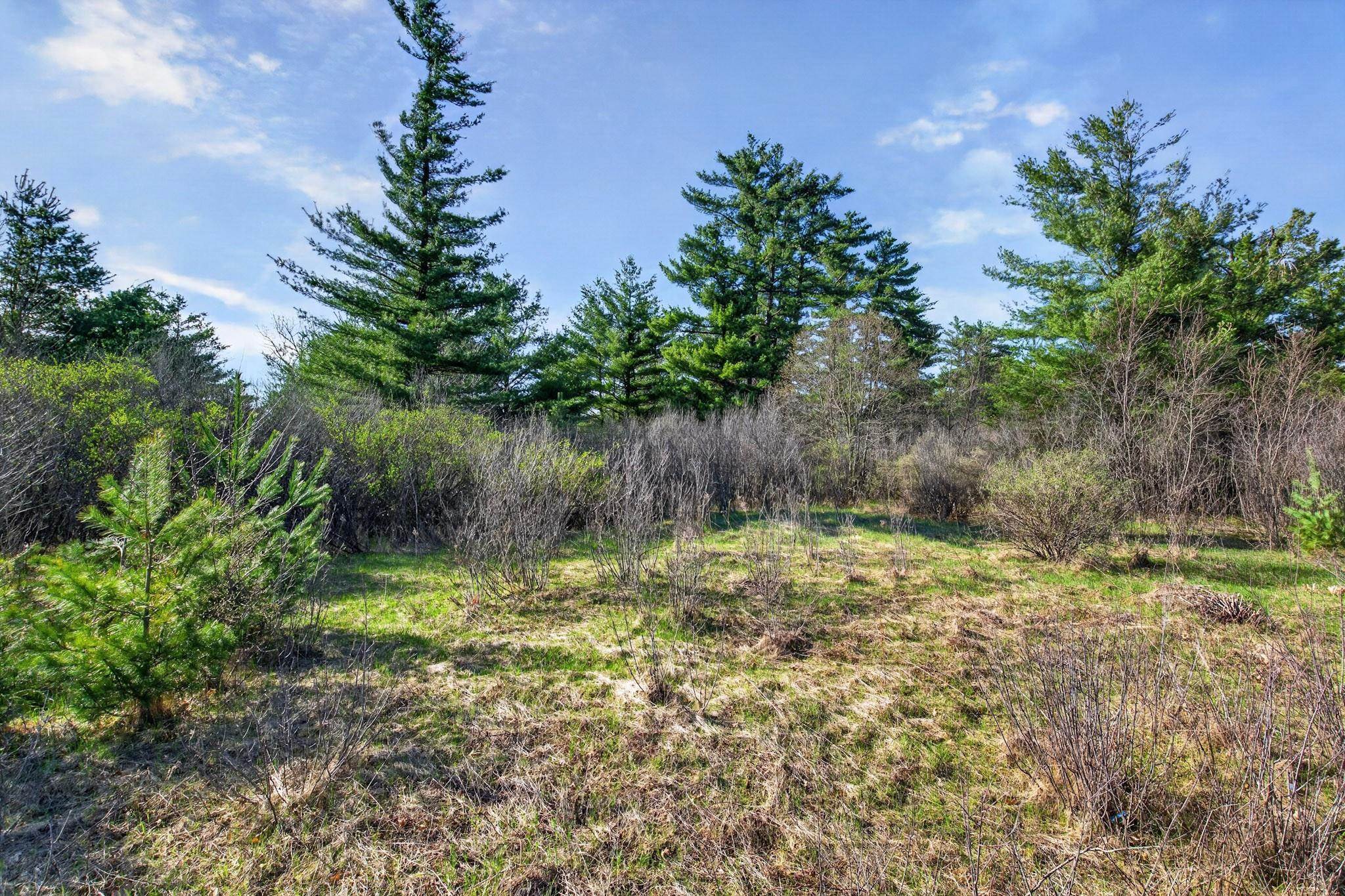 2411 APPLE STREET, Wisconsin Rapids, Wisconsin 54494, ,Land,For Sale,2411 APPLE STREET,22601592