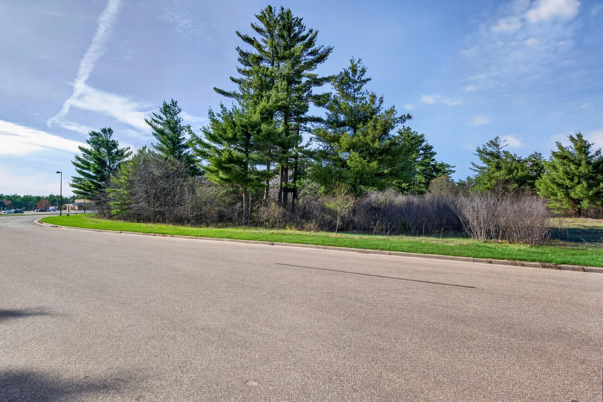 2411 APPLE STREET, Wisconsin Rapids, Wisconsin 54494, ,Land,For Sale,2411 APPLE STREET,22601592