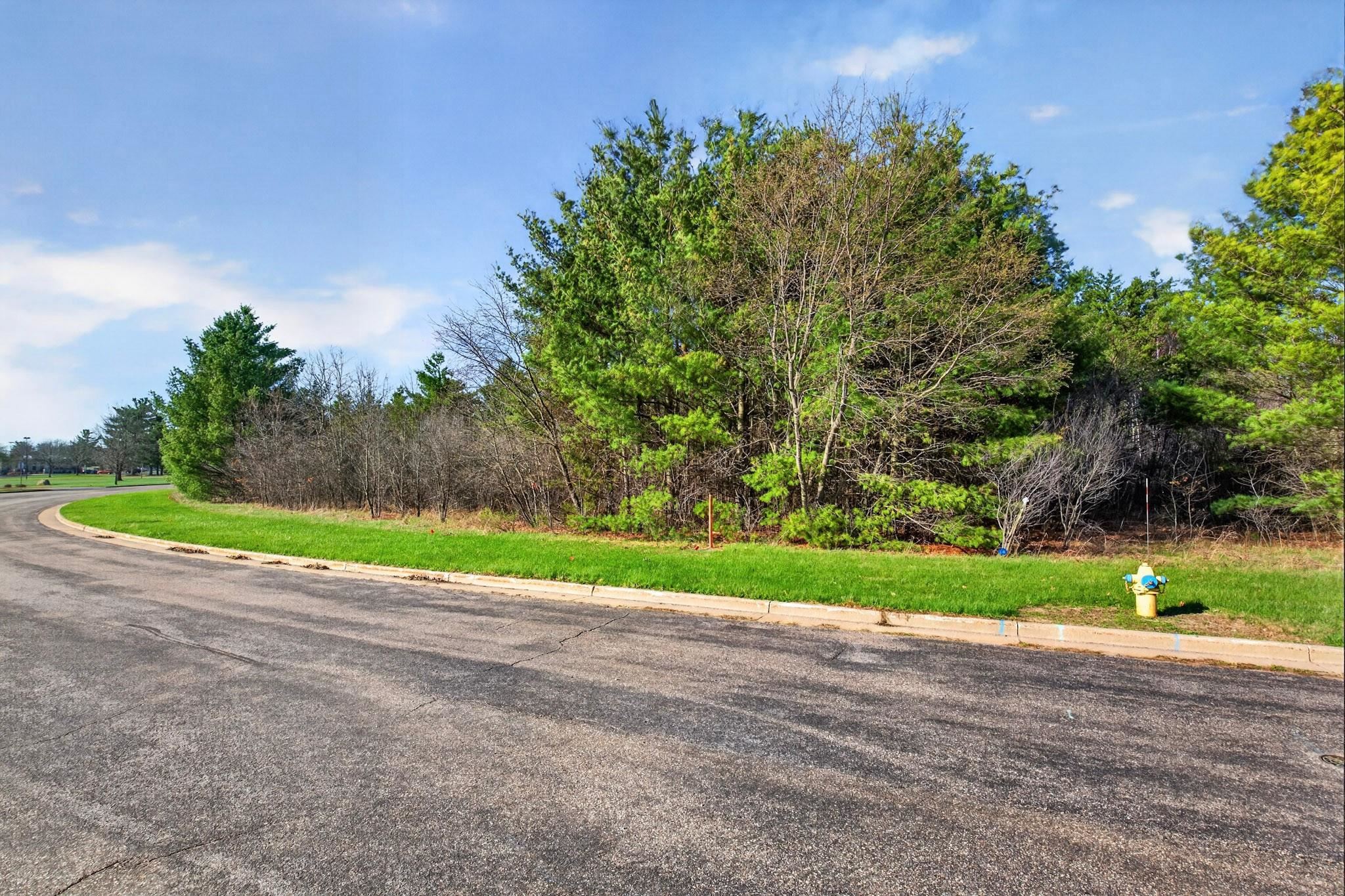 2411 APPLE STREET, Wisconsin Rapids, Wisconsin 54494, ,Land,For Sale,2411 APPLE STREET,22601592
