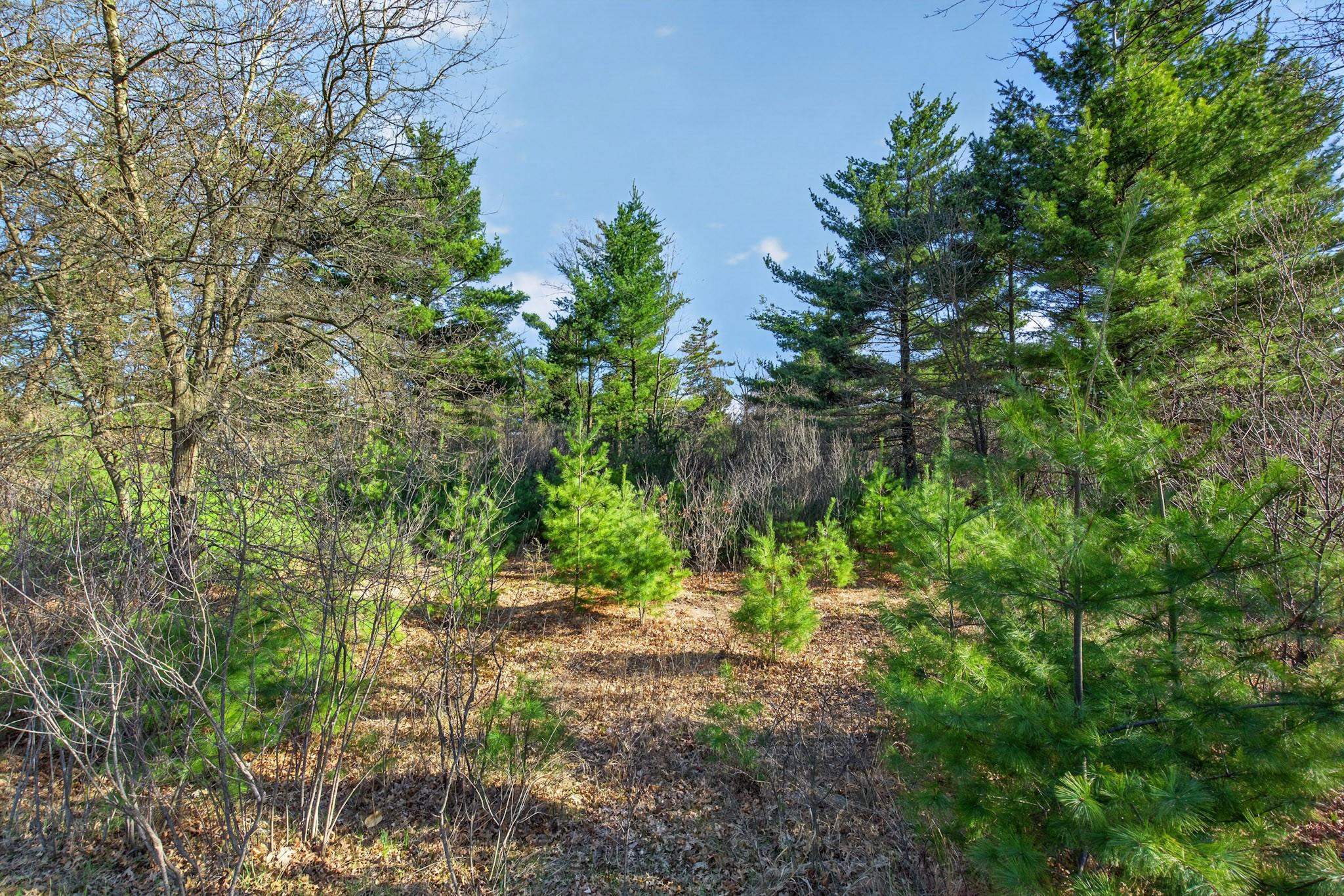 2411 APPLE STREET, Wisconsin Rapids, Wisconsin 54494, ,Land,For Sale,2411 APPLE STREET,22601592