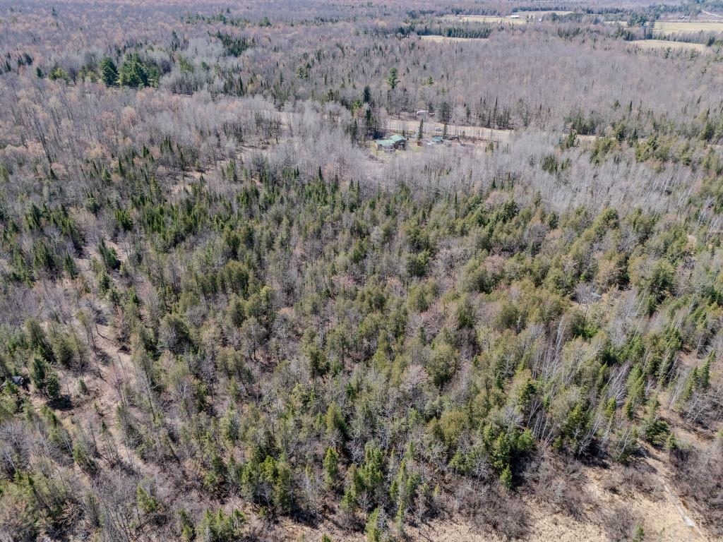 N11338 COUNTY ROAD YY, Tripoli, Wisconsin 54564, 4 Bedrooms Bedrooms, ,1 BathroomBathrooms,Residential,For Sale,N11338 COUNTY ROAD YY,22601603