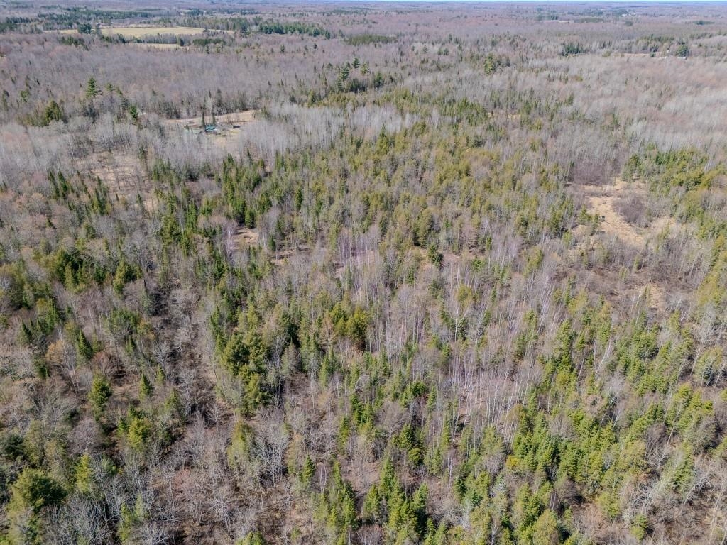 N11338 COUNTY ROAD YY, Tripoli, Wisconsin 54564, 4 Bedrooms Bedrooms, ,1 BathroomBathrooms,Residential,For Sale,N11338 COUNTY ROAD YY,22601603