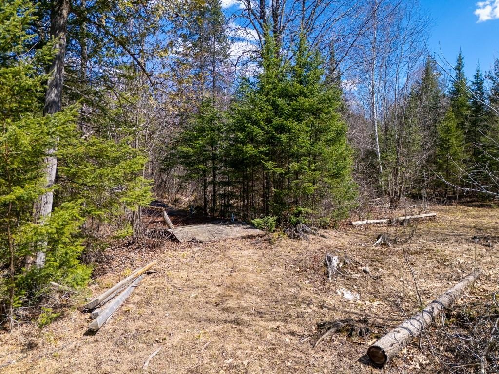 N11338 COUNTY ROAD YY, Tripoli, Wisconsin 54564, 4 Bedrooms Bedrooms, ,1 BathroomBathrooms,Residential,For Sale,N11338 COUNTY ROAD YY,22601603