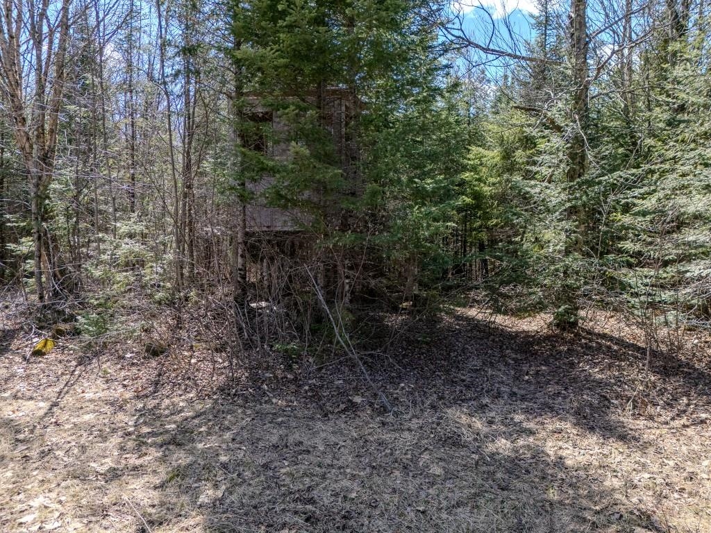 N11338 COUNTY ROAD YY, Tripoli, Wisconsin 54564, 4 Bedrooms Bedrooms, ,1 BathroomBathrooms,Residential,For Sale,N11338 COUNTY ROAD YY,22601603