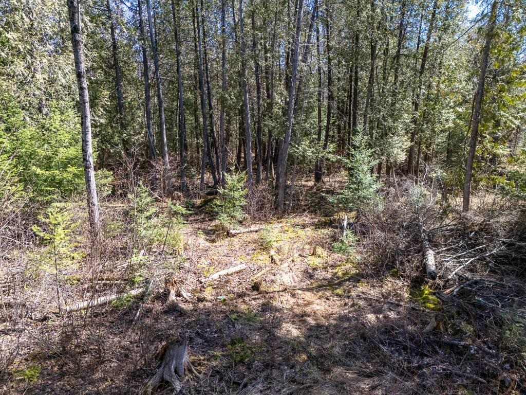 N11338 COUNTY ROAD YY, Tripoli, Wisconsin 54564, 4 Bedrooms Bedrooms, ,1 BathroomBathrooms,Residential,For Sale,N11338 COUNTY ROAD YY,22601603