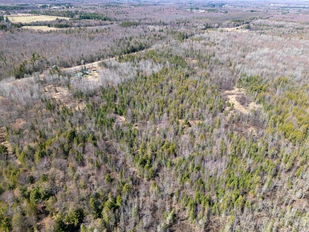 N11338 COUNTY ROAD YY, Tripoli, Wisconsin 54564, 4 Bedrooms Bedrooms, ,1 BathroomBathrooms,Residential,For Sale,N11338 COUNTY ROAD YY,22601603