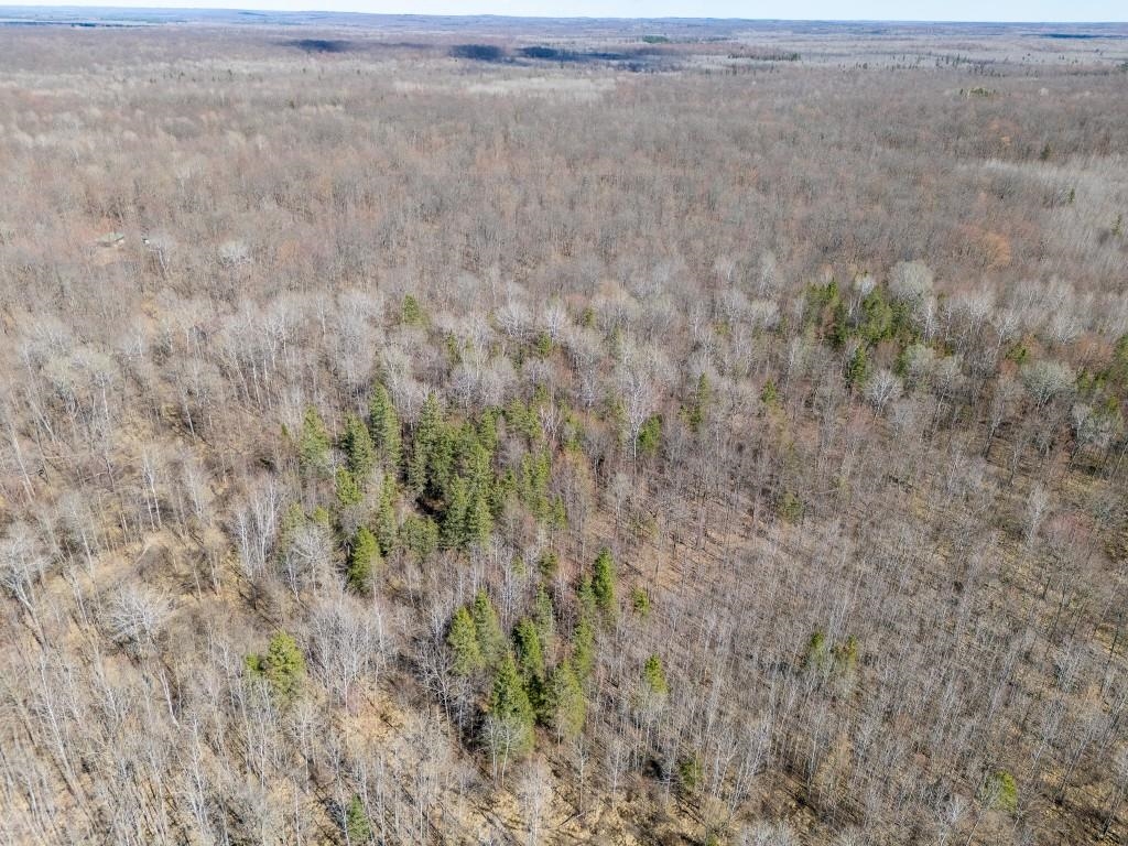 N5901 CAMP AVENUE, Merrill, Wisconsin 54452, ,Land,For Sale,N5901 CAMP AVENUE,22601604