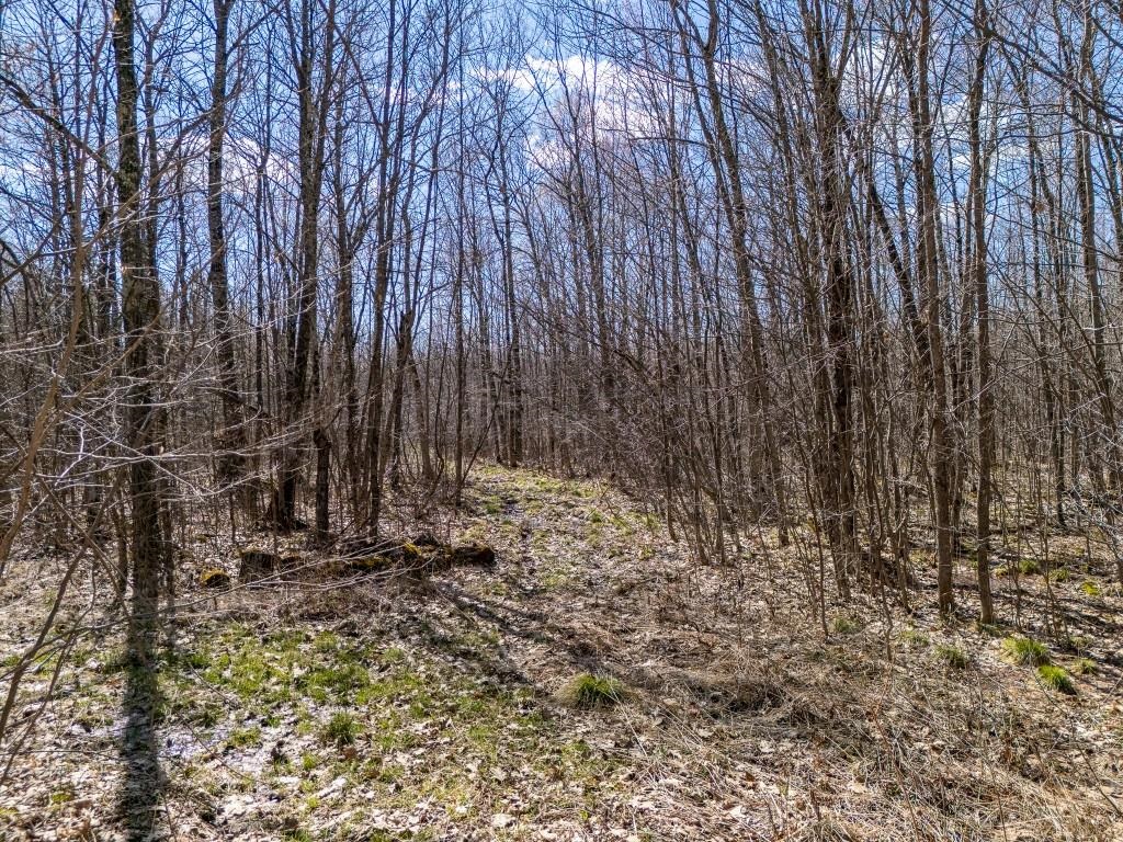 N5901 CAMP AVENUE, Merrill, Wisconsin 54452, ,Land,For Sale,N5901 CAMP AVENUE,22601604