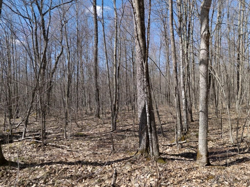 N5901 CAMP AVENUE, Merrill, Wisconsin 54452, ,Land,For Sale,N5901 CAMP AVENUE,22601604