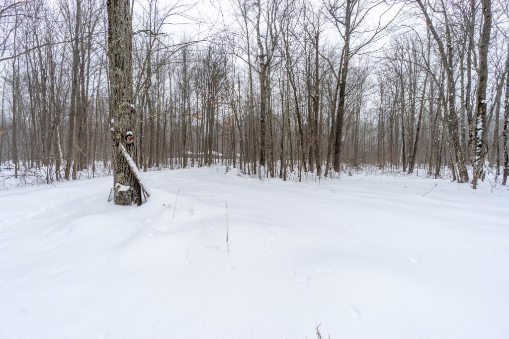 N5901 CAMP AVENUE, Merrill, Wisconsin 54452, ,Land,For Sale,N5901 CAMP AVENUE,22601604