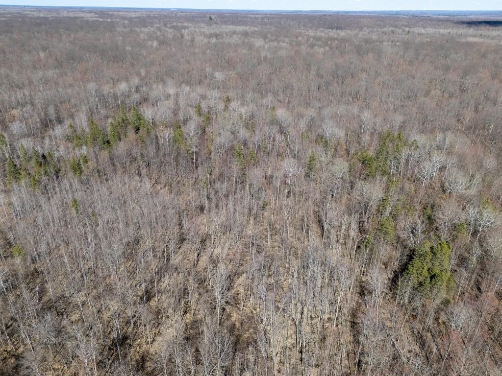 N5901 CAMP AVENUE, Merrill, Wisconsin 54452, ,Land,For Sale,N5901 CAMP AVENUE,22601604