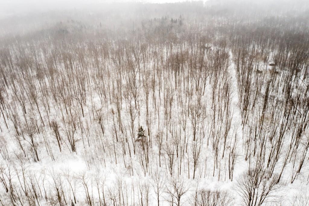 N5901 CAMP AVENUE, Merrill, Wisconsin 54452, ,Land,For Sale,N5901 CAMP AVENUE,22601604