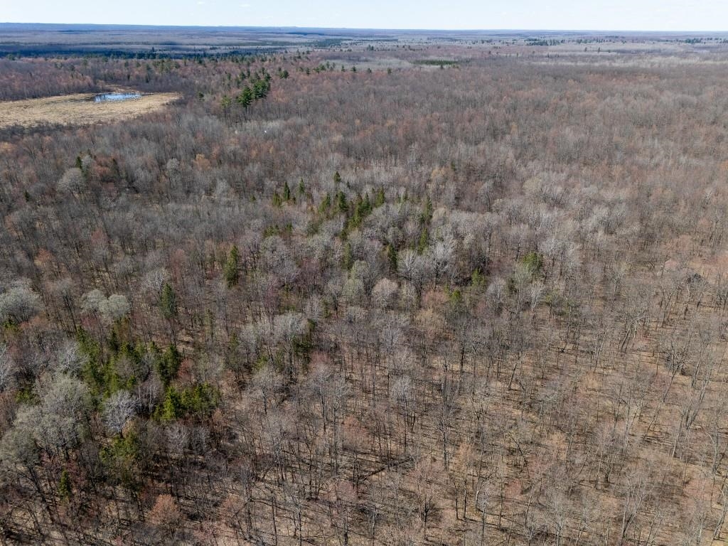 N5901 CAMP AVENUE, Merrill, Wisconsin 54452, ,Land,For Sale,N5901 CAMP AVENUE,22601604