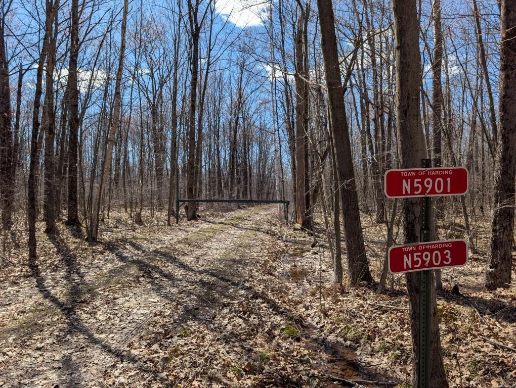 N5901 CAMP AVENUE, Merrill, Wisconsin 54452, ,Land,For Sale,N5901 CAMP AVENUE,22601604