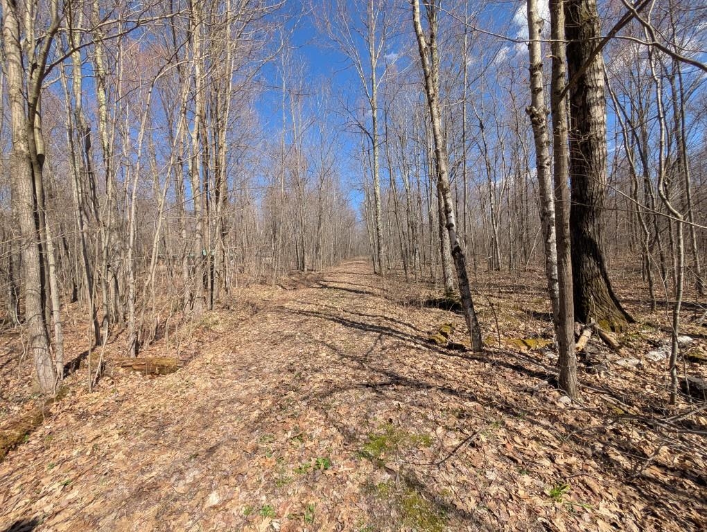 N5901 CAMP AVENUE, Merrill, Wisconsin 54452, ,Land,For Sale,N5901 CAMP AVENUE,22601604