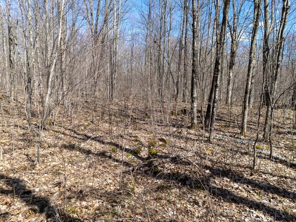 N5901 CAMP AVENUE, Merrill, Wisconsin 54452, ,Land,For Sale,N5901 CAMP AVENUE,22601604