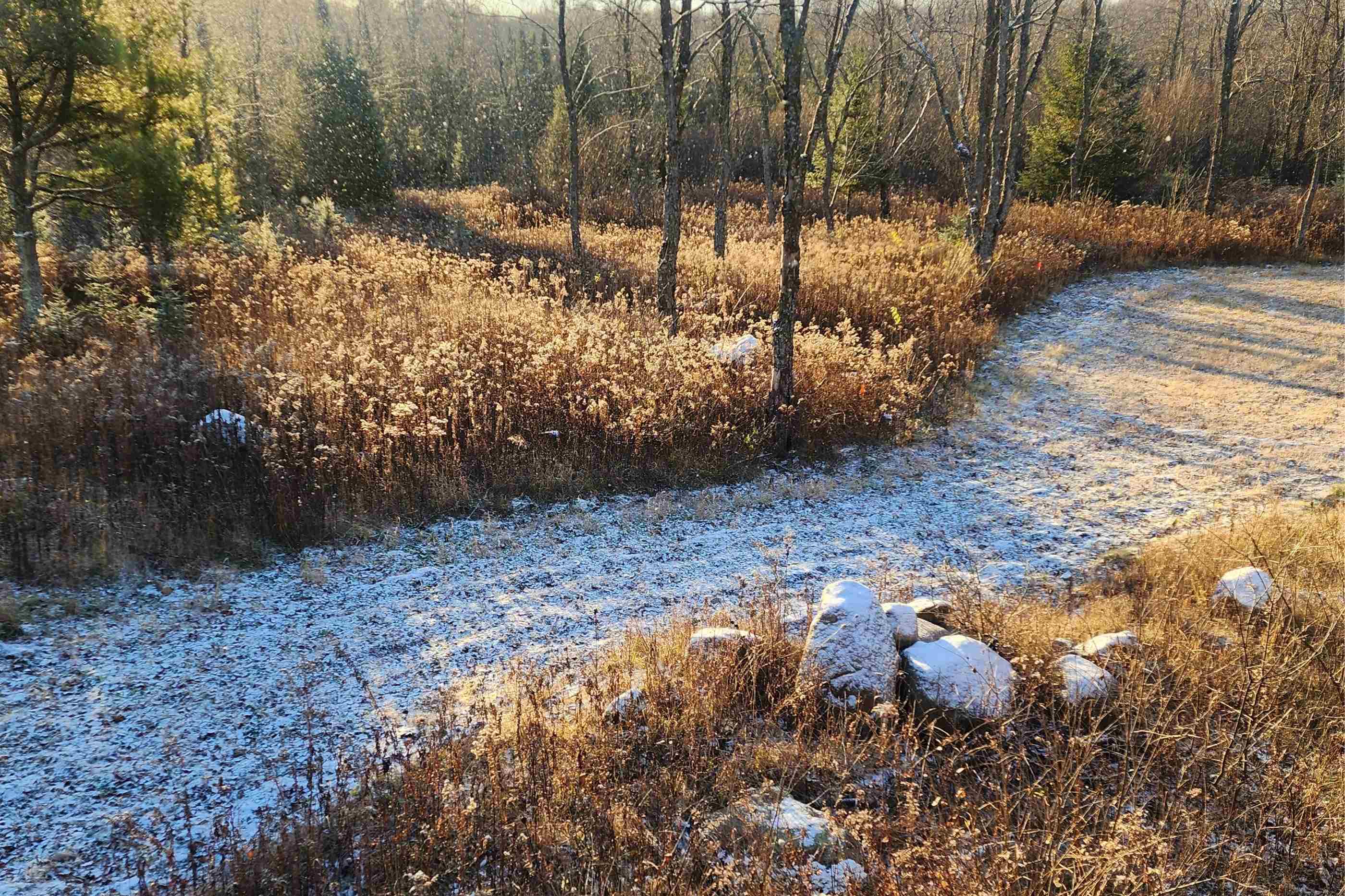 N8466 MAPLEWOOD ROAD, Wittenberg, Wisconsin 54499, 3 Bedrooms Bedrooms, ,2 BathroomsBathrooms,Residential,For Sale,N8466 MAPLEWOOD ROAD,22601636