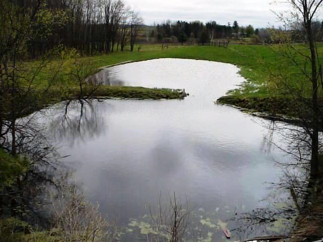 W7426 COUNTY ROAD G, Willard, Wisconsin 54493, 3 Bedrooms Bedrooms, ,2 BathroomsBathrooms,Residential,For Sale,W7426 COUNTY ROAD G,22601650