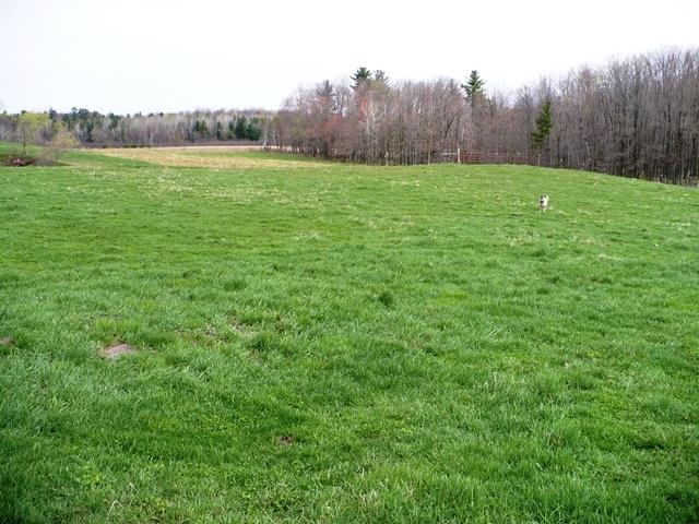 W7426 COUNTY ROAD G, Willard, Wisconsin 54493, 3 Bedrooms Bedrooms, ,2 BathroomsBathrooms,Residential,For Sale,W7426 COUNTY ROAD G,22601650