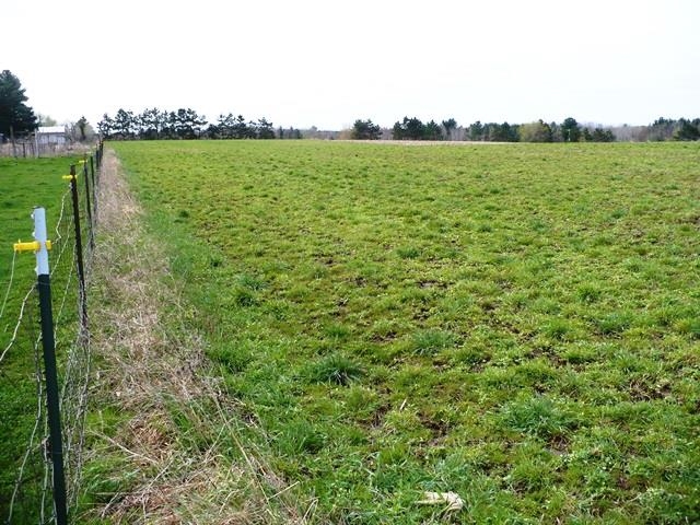 W7426 COUNTY ROAD G, Willard, Wisconsin 54493, 3 Bedrooms Bedrooms, ,2 BathroomsBathrooms,Residential,For Sale,W7426 COUNTY ROAD G,22601650