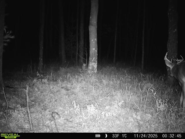 21 ACRES, LINWOOD, Wisconsin 54481, ,Land,For Sale,21 ACRES,22601666