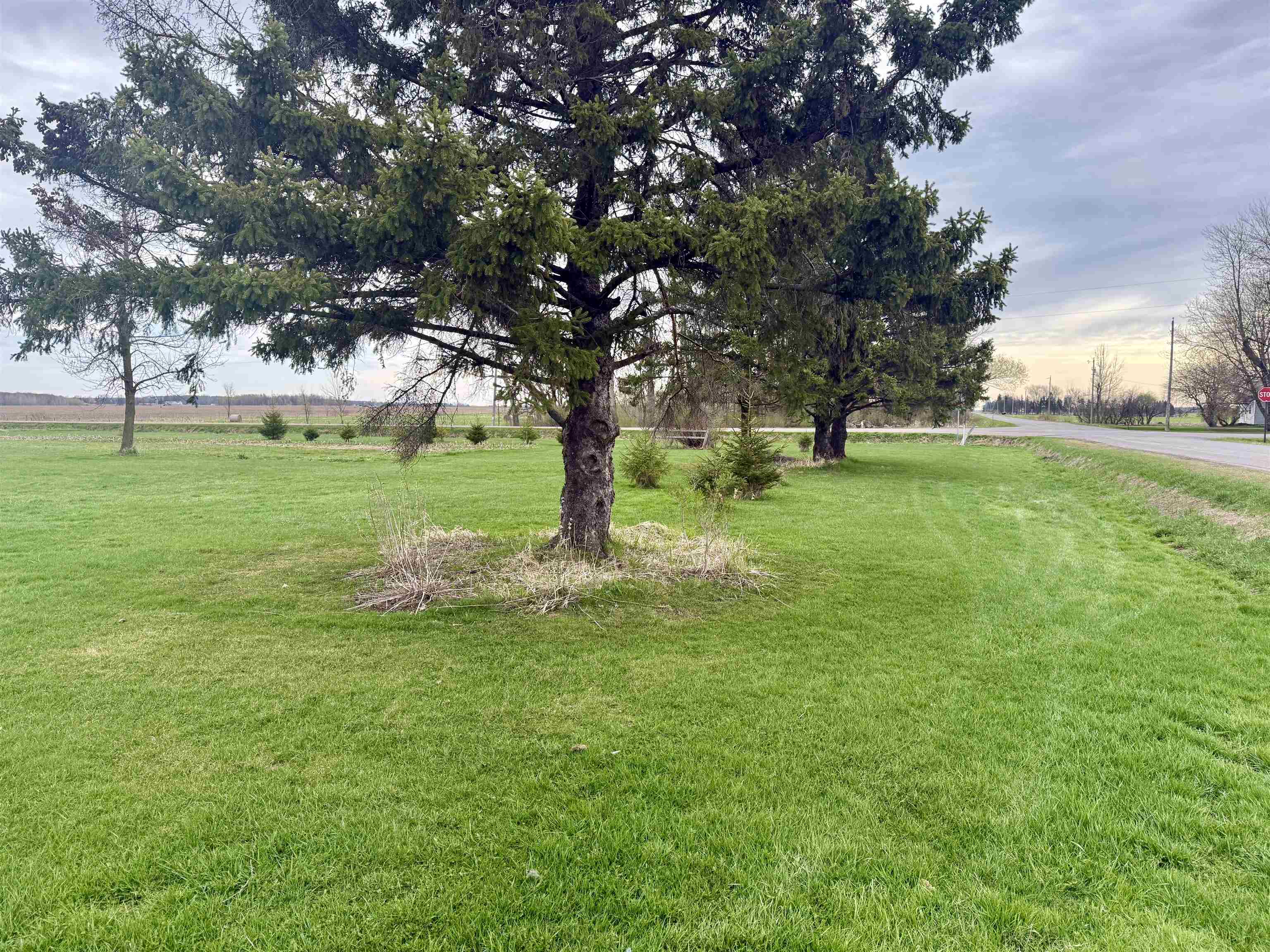 W6030 ELM AVENUE, Stetsonville, Wisconsin 54480, 3 Bedrooms Bedrooms, ,1 BathroomBathrooms,Residential,For Sale,W6030 ELM AVENUE,22601667