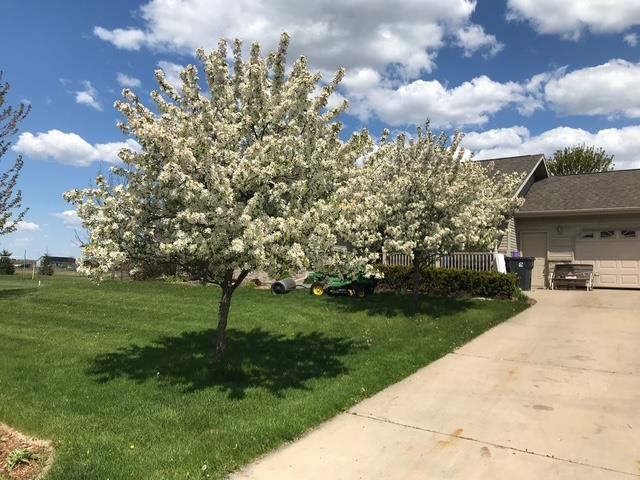 8342 4TH STREET, Pittsville, Wisconsin 54466, 5 Bedrooms Bedrooms, ,3 BathroomsBathrooms,Residential,For Sale,8342 4TH STREET,22601680