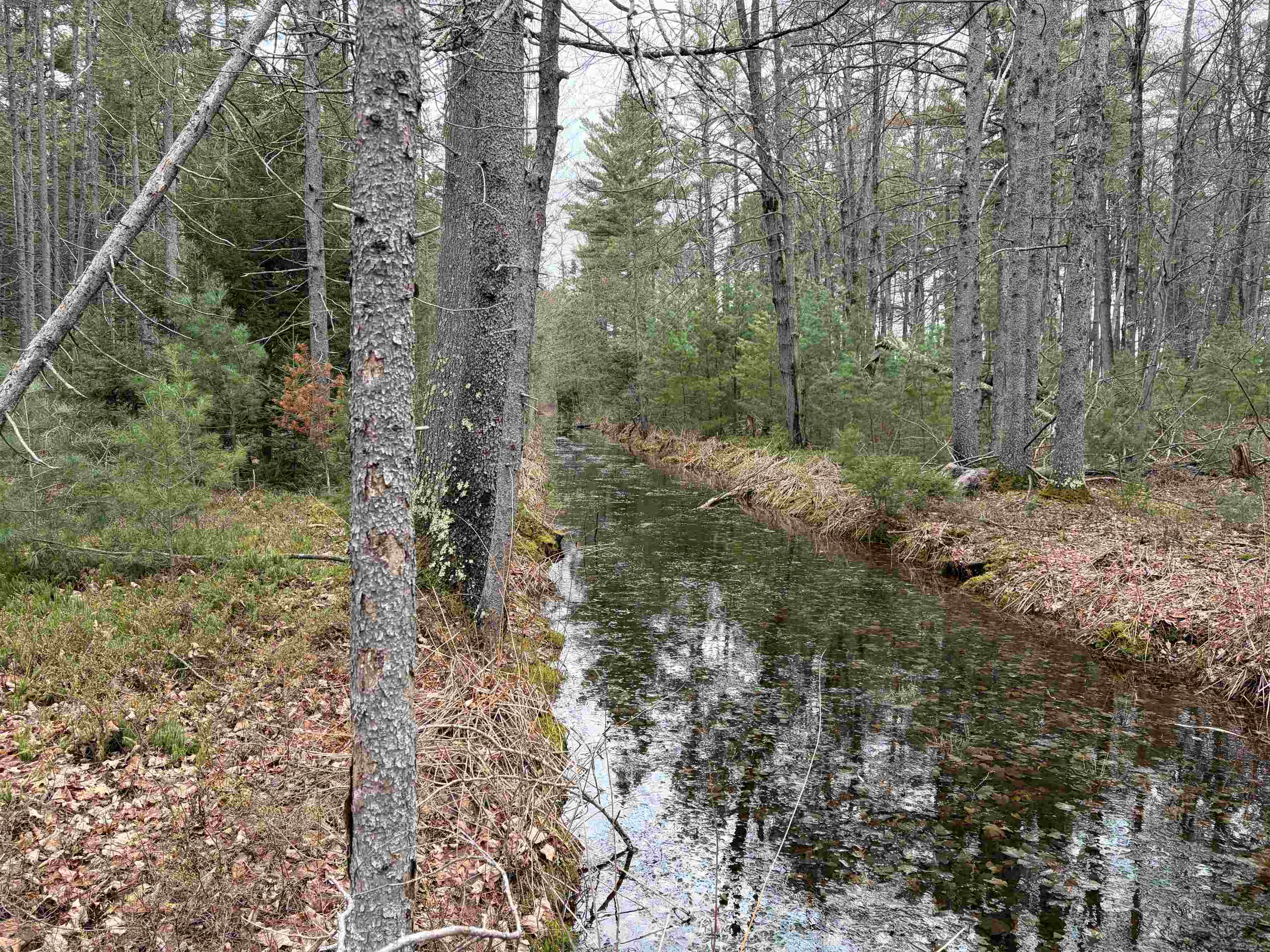ON WHISPERING PINES DRIVE, Tomahawk, Wisconsin 54487, ,Land,For Sale,ON WHISPERING PINES DRIVE,22601699