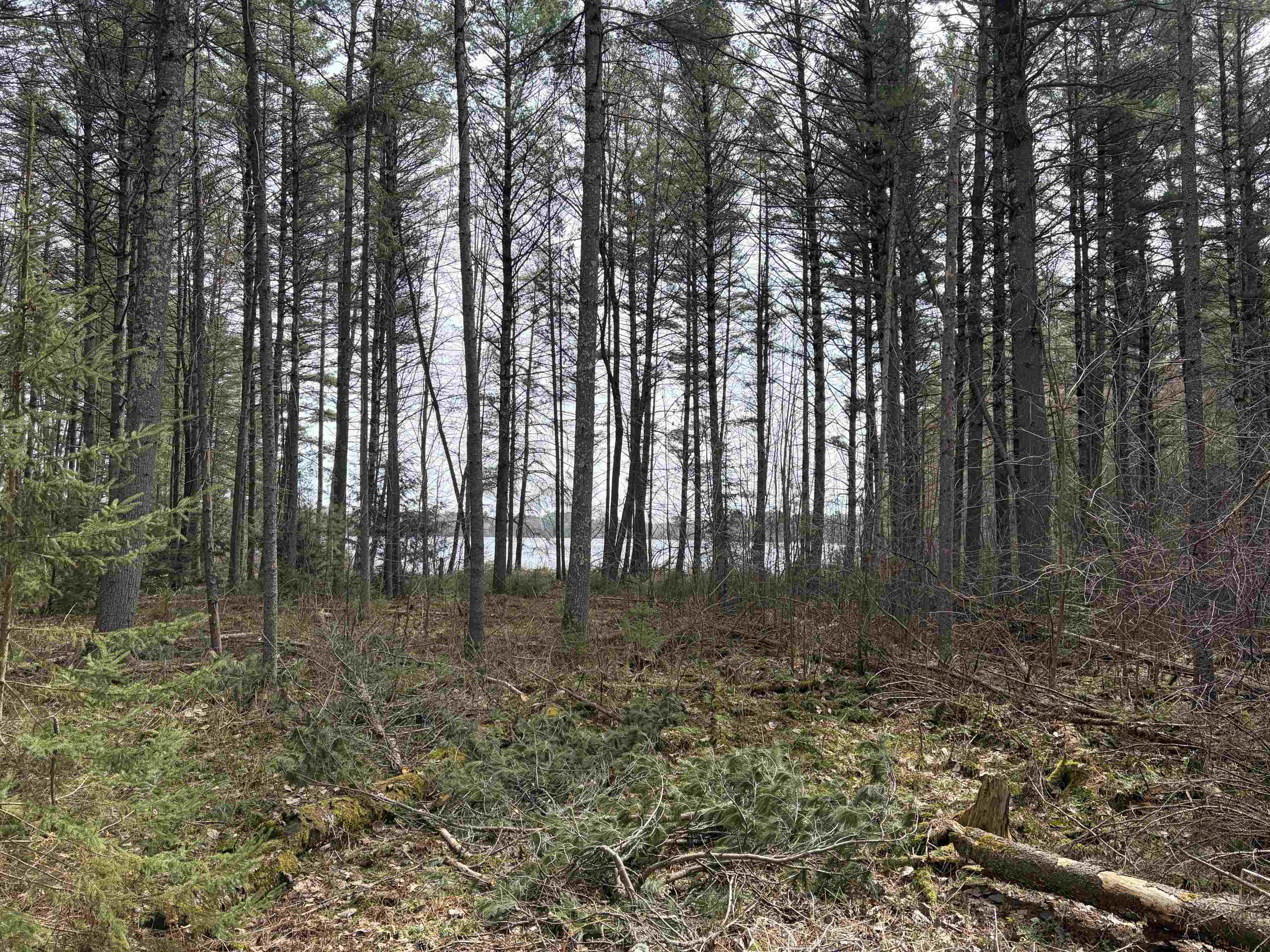 ON WHISPERING PINES DRIVE, Tomahawk, Wisconsin 54487, ,Land,For Sale,ON WHISPERING PINES DRIVE,22601699