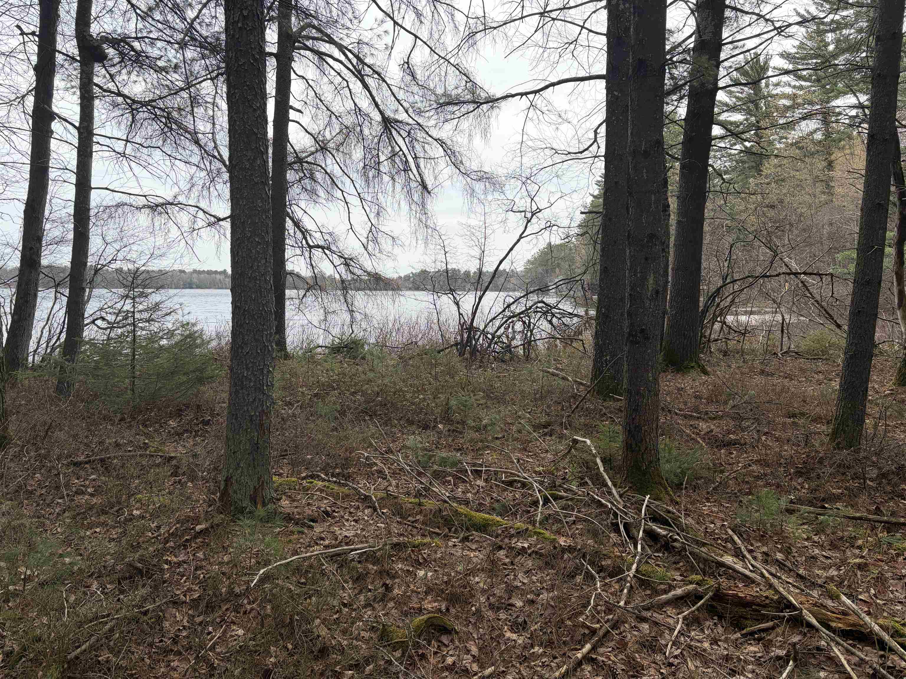 ON WHISPERING PINES DRIVE, Tomahawk, Wisconsin 54487, ,Land,For Sale,ON WHISPERING PINES DRIVE,22601699