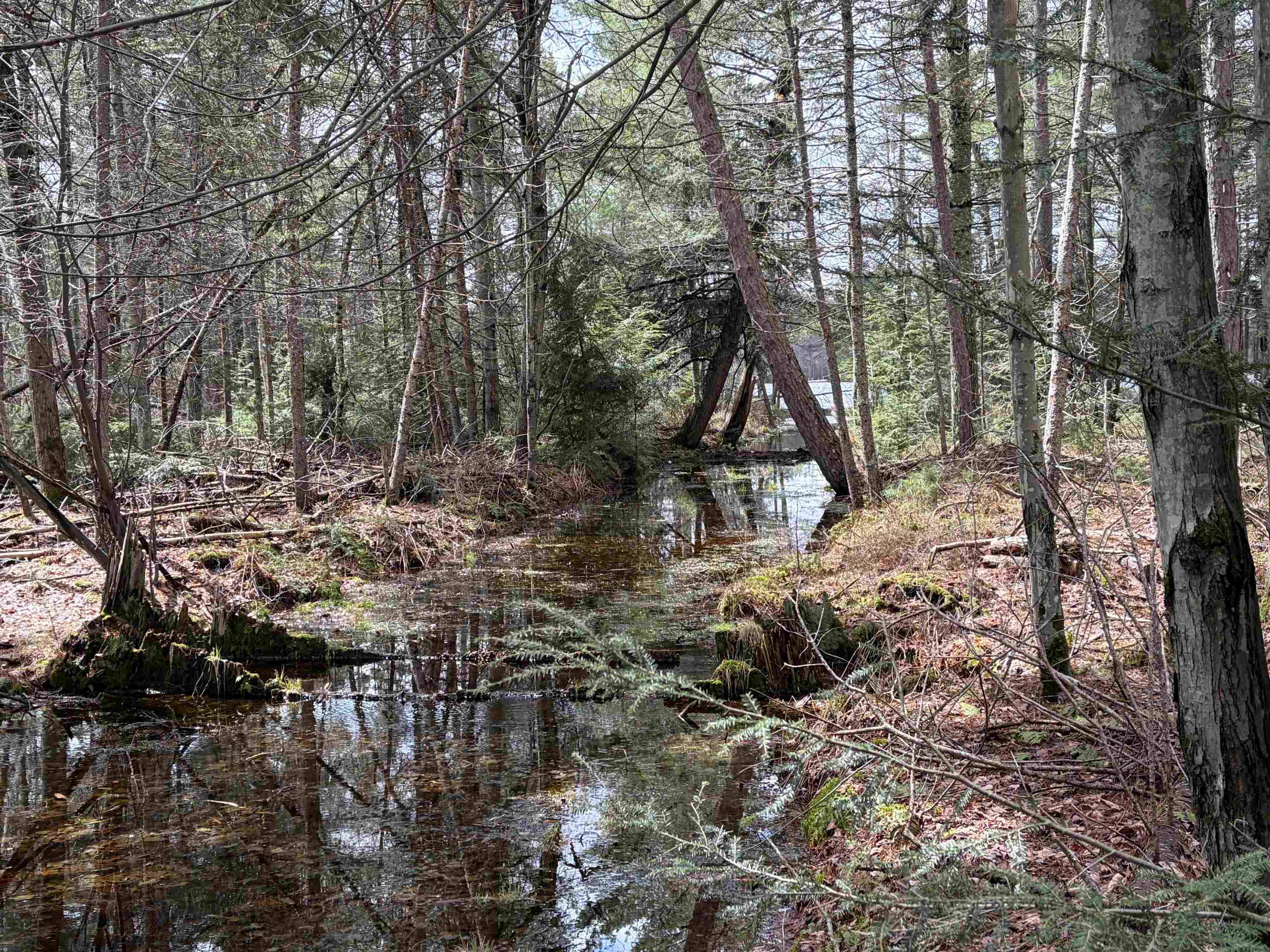 ON WHISPERING PINES DRIVE, Tomahawk, Wisconsin 54487, ,Land,For Sale,ON WHISPERING PINES DRIVE,22601699