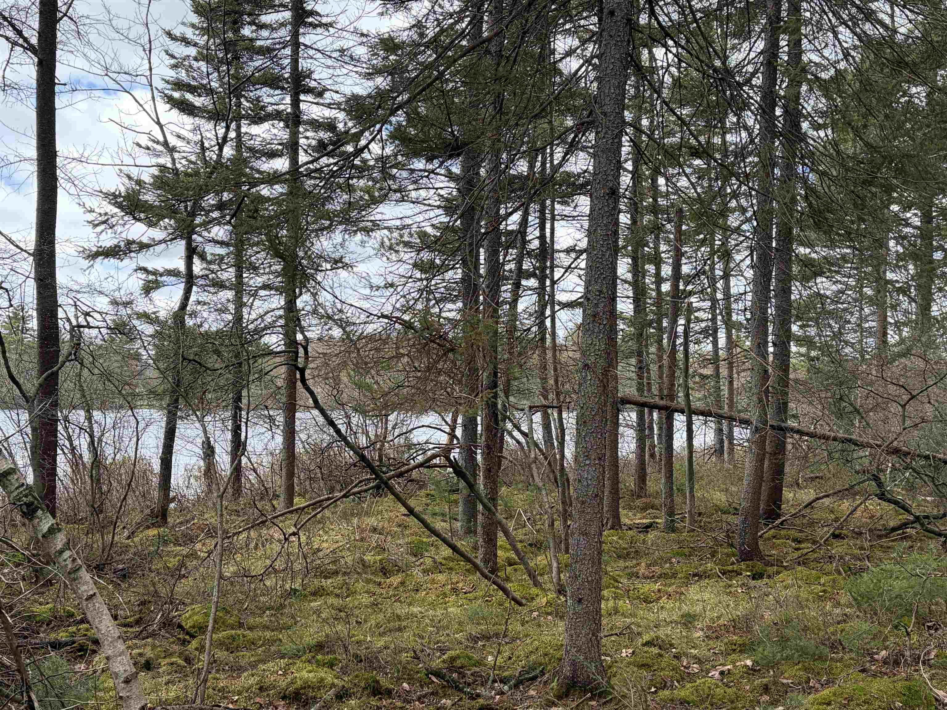 ON WHISPERING PINES DRIVE, Tomahawk, Wisconsin 54487, ,Land,For Sale,ON WHISPERING PINES DRIVE,22601699