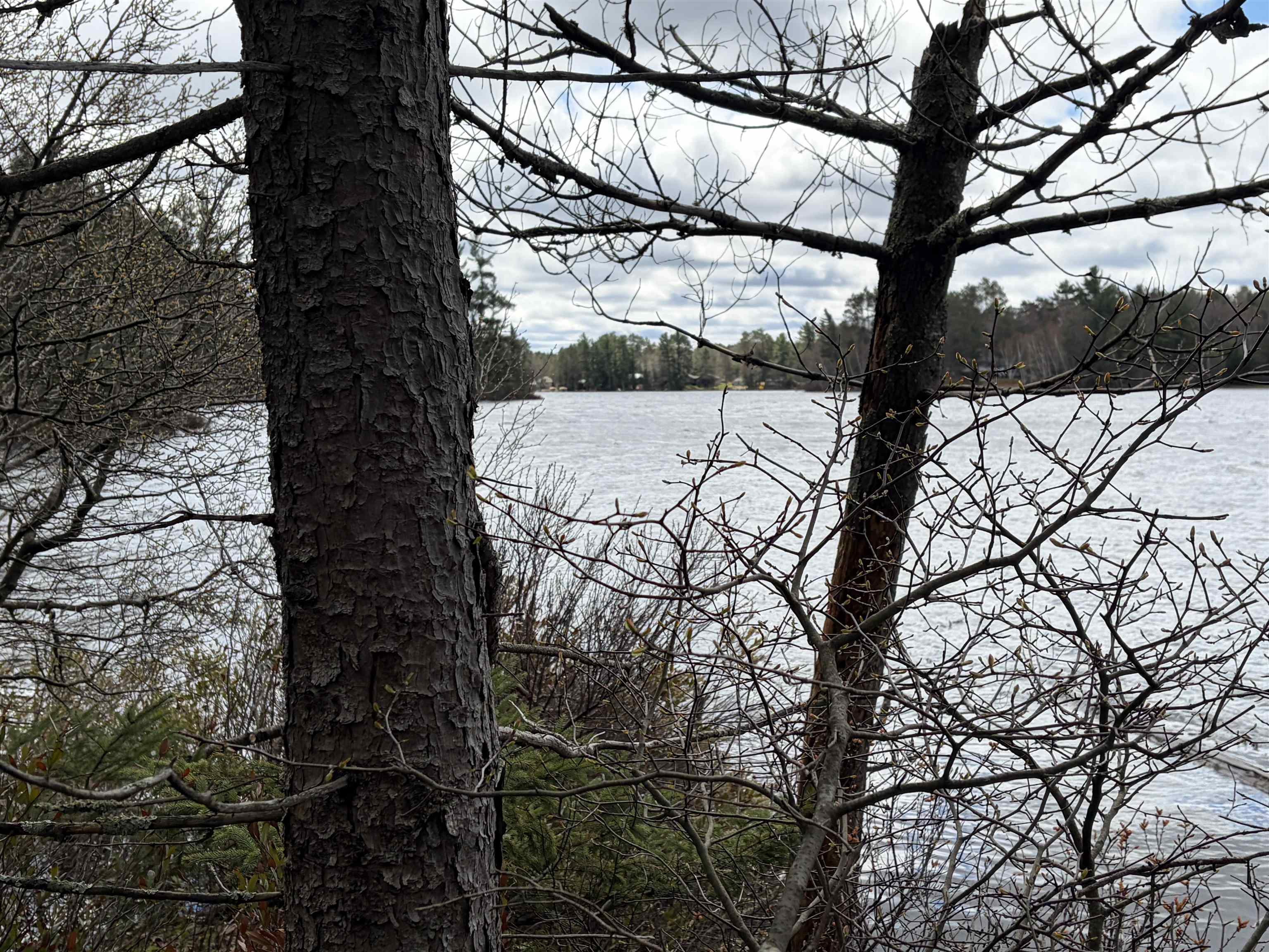 ON WHISPERING PINES DRIVE, Tomahawk, Wisconsin 54487, ,Land,For Sale,ON WHISPERING PINES DRIVE,22601699