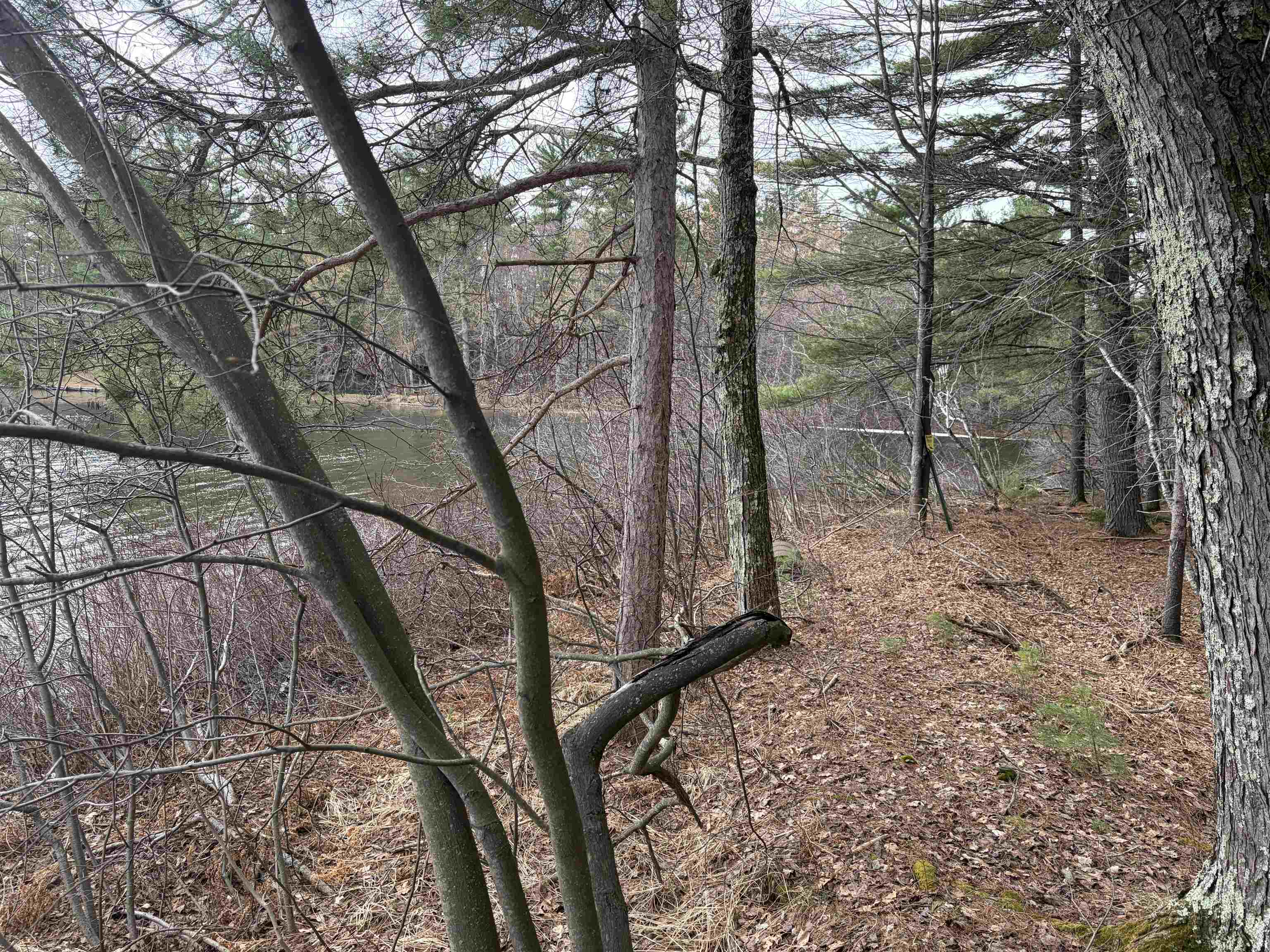 ON WHISPERING PINES DRIVE, Tomahawk, Wisconsin 54487, ,Land,For Sale,ON WHISPERING PINES DRIVE,22601699